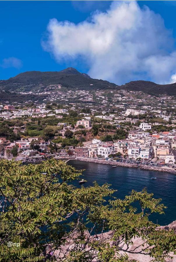 La Finestra Sul Mare Bed & Breakfast Ischia Luaran gambar